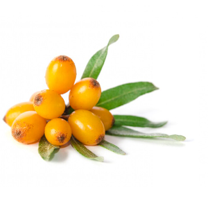 Bayas de espino amarillo secas orgánicas-Superfruta rica en vitamina C - Product Image 3