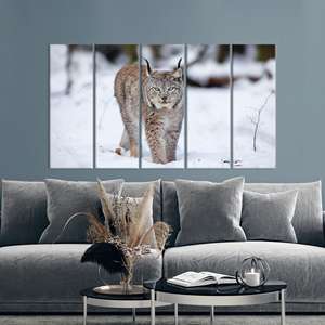 Lynx Cat Tempered Glass Wall Art: Winter Animal Print Canvas,SET OF 5 CANVAS - Product Image 1