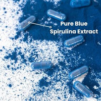 Pigment bleu Extrait naturel de spiruline Phycocyanine en poudre E6 E18 E25 E40 Comprimés de phycocyanine Capsules de phycocyanine