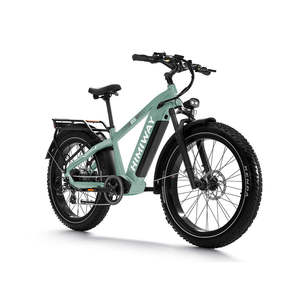 BEST BUY Vélo de montagne électrique Himiway D5 Zebra Variant avec moteur à moyeu arrière, frein à disque, cadre en alliage d'aluminium, 21 vitesses - Product Image 1