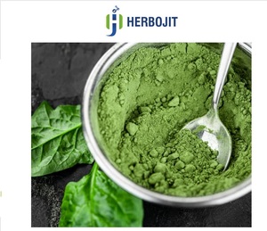 Poudre de feuilles d'épinard très demandée, conçue pour l'innovation culinaire, enrichissant et aromatisant les applications alimentaires à base de poudre de feuilles d'épinard en vrac - Product Image 6