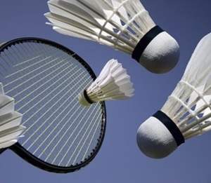 High Quality Ultra Flick Professional <b>Shuttlecocks</b> Ball with Custom Logo Design - Product Image 1