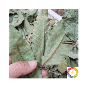 ชาฝรั่งใบสมุนไพรธรรมชาติบรรจุภัณฑ์แบบสั่งทำสำหรับเครื่องดื่มรสชาติอร่อย - Product Image 1