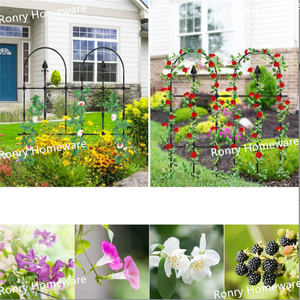 Enrejado De Jardin Para Plantas Trepadoras Al Aire Libre Soporte Para Rosas Clematides Y Cesped En Patios - Product Image 3