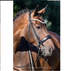 Brida de caballo de cuero real, brida de caballo de cuero real personalizada, fabricantes que venden brida de caballo de cuero genuino, genuina - Product Image 2