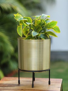 กระถางโลหะพร้อมขาตั้งดีไซน์ซับทองสำหรับใช้ในสวนบ้าน - Product Image 2