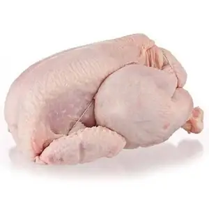 Grelhador integral Halal para frango à venda 2024 Preços por atacado de frango congelado do Brasil Fabricante aprovado pela SIF
