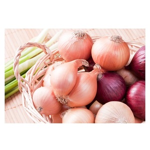 Oignons rouges/jaunes/blancs frais au prix le plus bas à vendre - Product Image 4