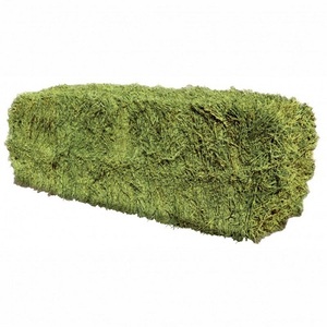 Nouveau Prix Raisonnable Qualité Supérieure Foin d'Alfalfa Foin de Timothy Prix de Gros - Product Image 2