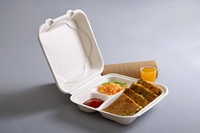 Placas de bagazo de caña de azúcar de grado alimenticio de fibra natural 100% biodegradables, recipientes, taza, certificado ISO 22000-2018 para llevar