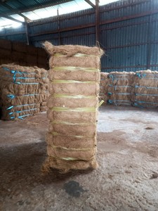 มะพร้าวมะพร้าว: ของขวัญจากธรรมชาติสำหรับการแก้ปัญหาอย่างยั่งยืนในการทำสวนการควบคุมการกัดเซาะและการผลิตในอุตสาหกรรม - Product Image 2