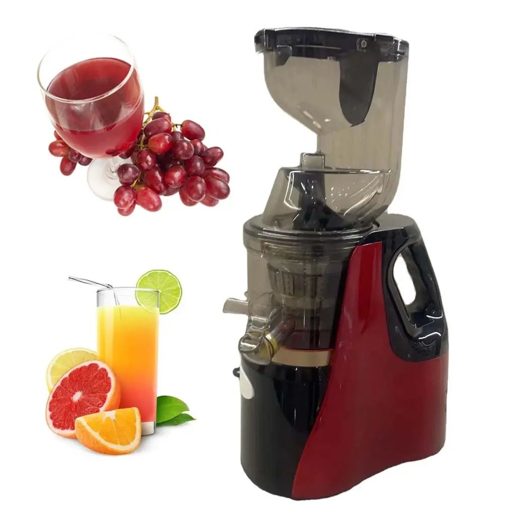 Best Orange Juicer India High Output Commercial Quality