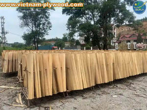 Placage de bois d'acacia et d'eucalyptus du Vietnam HCPLY LUCYPLYWOOD 640x1270mm 18% d'humidité Garantie 1 an Utilisation en entrepôt Prix compétitif - Product Image 4