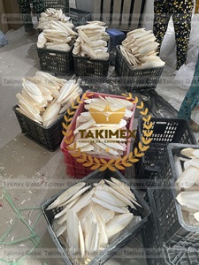 Hueso de sepia seco al por mayor, precio más bajo, huesos de sepia secos de alta calidad para alimentar aves - Product Image 2