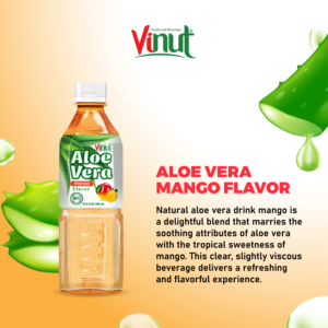 Mejor Venta de 500ml de aloe vera concentrado de sabor a mango ODM servicio OEM del fabricante de Vietnam - Product Image 2