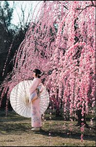 Disfraz de Cosplay Vintage para Mujer, Kimono Japonés Multicolor, Túnica, Conjuntos Tradicionales, Spandex, Embalaje Ecológico - Product Image 4