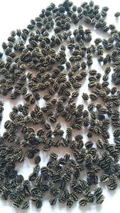 Graines de papaye séchées et nettoyées à la machine |   Exportateur en gros de produits vietnamiens de première qualité pour les applications de fabrication - Product Image 5