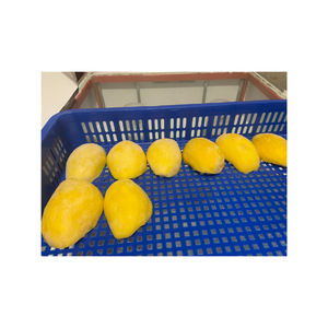 Trozos de mango congelado IQF Premium de Vietnam 100 por ciento de sabor dulce natural Suministro a granel Exportación de alta calidad lista - Product Image 1