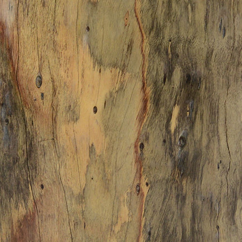 ครีม Spalted