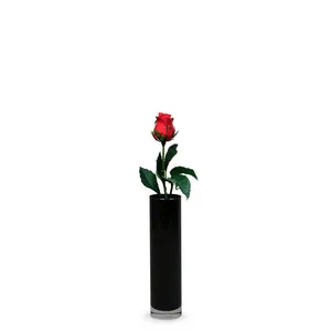 VCY0208BK - Black Cylinder Glass Bud <b>Vase</b> - 2 x 8 - Product Image 4