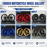 Ruedas de Motocicleta Forjadas Personalizadas ZhiGu, Base de Datos con Más de 10,000 Modelos, Llantas Ligeras T6061-T6, Ajuste Personalizado para BMW, Ducati, Yamaha