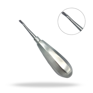 Elevador Quirúrgico Dental de Borde Cincelado 100 con Mango Pequeño para Extracción Dental y Elevación de Raíces - Product Image 1