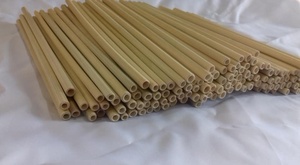 หลอดดูดน้ำไม้ไผ่ธรรมชาติย่อยสลายได้พร้อมโลโก้เลเซอร์หลอดหญ้าทะเลทำจากเวียดนาม - Product Image 5