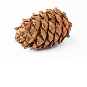 Aceite esencial de cedro - Product Image 2