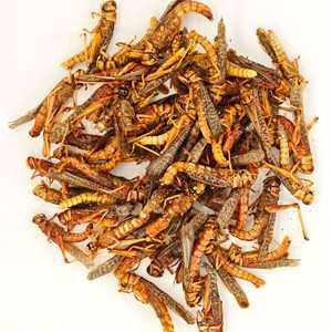 <span class=keywords><strong>เครื่อง</strong></span><span class=keywords><strong>อบ</strong></span><span class=keywords><strong>แห้ง</strong></span>แมลง<span class=keywords><strong>แบบ</strong></span>ไมโครเวฟอุตสาหกรรมสำหรับหนอนนกอินทรี ตั๊กแตน และโปรตีนอาหารสัตว์ - Product Image 4