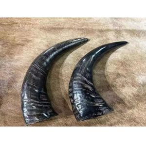 Corne à boire viking en corne de buffle 100% naturelle et écologique, polie, pour bière/eau, meilleure qualité, vente en gros, Inde, sur mesure - Product Image 1