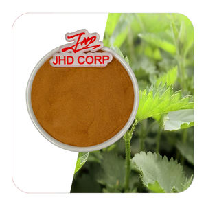 Polvere di estratto di radice di ortica urtica biologica sfusa/EU - Product Image 1