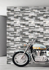 Carreaux muraux extérieurs en porcelaine 300x600mm pour façade - Product Image 4