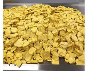 Chips de jacquier séchées VF de qualité supérieure du Vietnam frites sous vide pour une longue durée de conservation et une étiquette d'ingrédient propre 99GD - Product Image 6