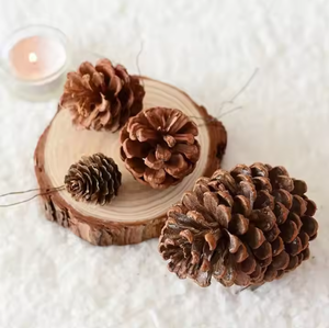 Vente en gros de pommes de pin naturelles, décoration de Noël, ornement suspendu, tour de pin, boule de pommes de pin, fleurs séchées faites à la main - Product Image 1