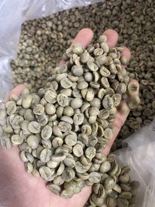 Granos de Café Verde Arábica de Alta Calidad, 100% Naturales, Nueva Cosecha, S18, Completamente Lavados, Grado de Exportación, Café DHPONE de Vietnam, Bolsa de Yute de 60 kg - Product Image 1