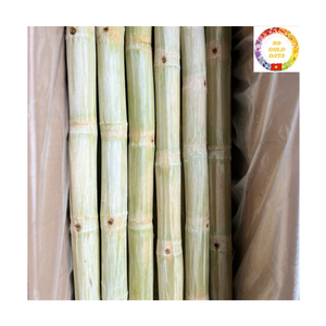 Caña de Azúcar Congelada de Vietnam en Palitos, Sabor Dulce Natural, Perfecta para Tiendas de Jugos y Producción de Bebidas - Product Image 5