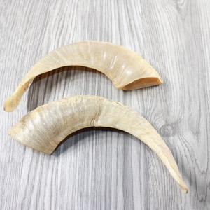Cuernos de Shofar de Oveja 100% de la Mejor Calidad, Acabado Natural a Precios Económicos por una Empresa de Fabricación India - Product Image 1