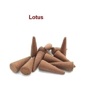 Fourniture en gros de cônes d'encens de lotus naturel de la meilleure marque (marron) - Product Image 1
