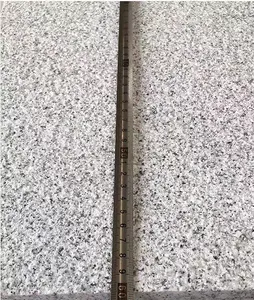 중국 G603 밝은 회색 타오르는 화강암 포장 석판