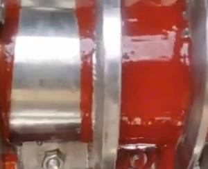 ACEITE DE GAC PRENSADO EN FRÍO DE VIETNAM 100% PURO EXTRACTO NATURAL CON ALTO CONTENIDO DE LICOPENO Y BETA-CAROTENO ACEITE DE MOMORDICA COCHINCHINENSIS - Product Image 6