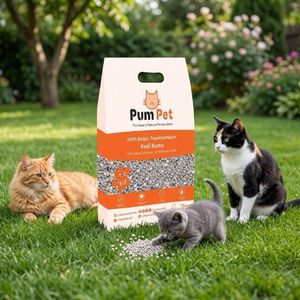 Volcanic Pumice <b>Cat</b> <b>Litter</b> 5L Non-Clumping Ultra Absorbent 99% Dust-Free Instant Odor Lock Unscented Eco Friendly Pum Pet - Product Image 2
