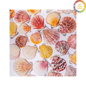 Cuenco Decorativo Inspirado en Conchas Marinas Hecho de Material Natural de Conchas Marinas para Exhibición en el Hogar, Elaborado por Artesanos en Vietnam - Product Image 5