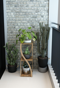 Table d'appoint en bois à 3 niveaux et étagère, design moderne décoratif et polyvalent - Product Image 5