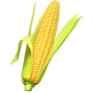 Granos de maíz amarillo sin OGM/maíz dulce/maíz amarillo a la venta a granel precio barato