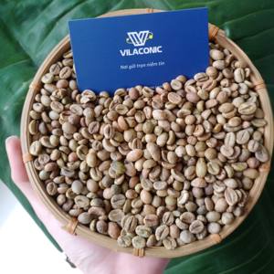 Grains de café vert Robusta vietnamien naturel de grade 1 SCR16 SCR18 autorisé à l'exportation sans conservateurs torréfié non lavé nettoyé humide - Product Image 1