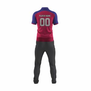 Último nuevo diseño de sublimación Cricket Jersey y pantalón 2 uds Set para jugadores profesionales pakistaní y EE. UU. Cricket 2026 Inglaterra - Product Image 6