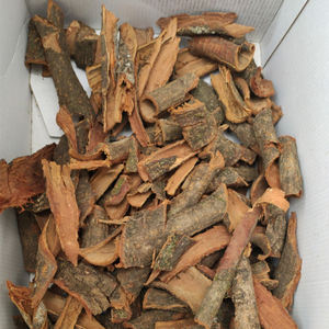 Prunus africana - Product Image 1