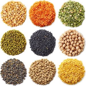 Lentilles rouges de qualité supérieure, fabricants de premier ordre, prix bas, lentilles entières et fendues, prêtes à la vente en vrac à prix abordable - Product Image 2