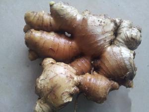 Top Choice ขิงสดรากขิงผักราคาถูกบรรจุในกล่องจากดอกบัวเวียดนามสีฟ้าหวงแหน - Product Image 4