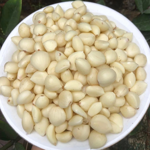 กระเทียมแช่แข็งเวียดนามที่ดีที่สุดสำหรับตลาดต่างประเทศที่มีความสดใหม่ยาวนานและรสชาติที่ยอดเยี่ยม - Product Image 2